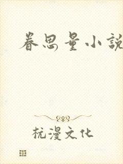 眷思量小说封面