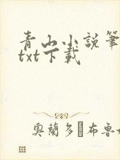 青山小说笔趣阁txt下载封面