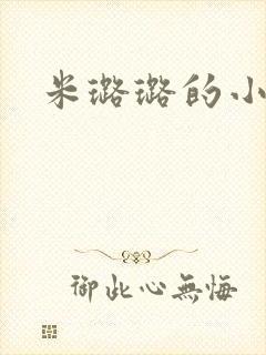 米璐璐的小说封面