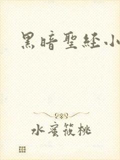 黑暗圣经小说封面