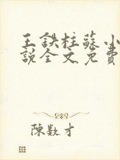 王铁柱苏小汐小说全文免费阅读最新章节