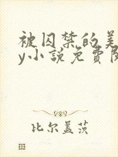 被囚禁的美人by小说免费阅读