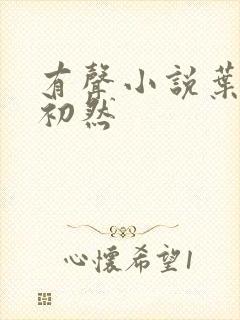 有声小说叶辰萧初然封面