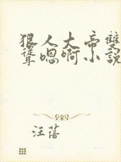 狠人大帝双乳高耸嗯啊小说