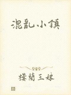 混乱小镇封面