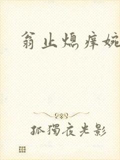 翁止熄痒婉燕封面