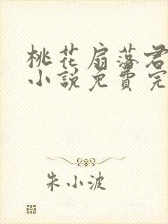 桃花扇落君不还小说免费完整版