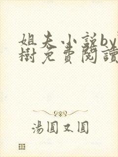 姐夫小说by野树免费阅读全文封面