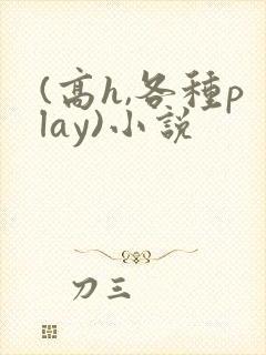 (高h,各种play)小说封面
