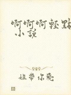 啊啊啊轻点嗯h 小说封面