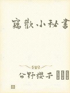 窃欢小秘书