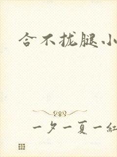 合不拢腿小说