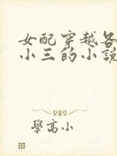 女配穿越各个做小三的小说
