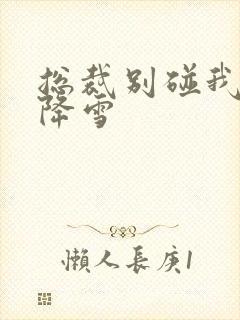 总裁别碰我 韩降雪封面