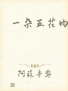 一朵五花肉封面