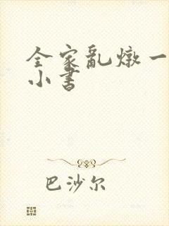 全家乱炖一锅烩小书
