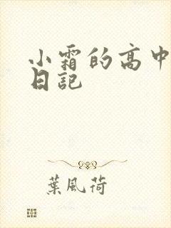 小霜的高中成长日记