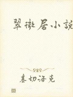 翠微居小说