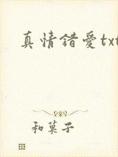 真情错爱txt