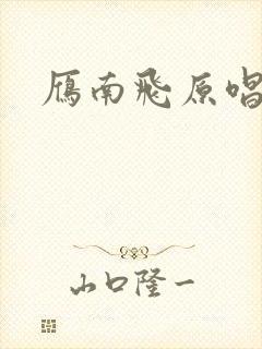 雁南飞原唱封面