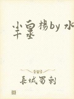 小白杨by 水千丞封面