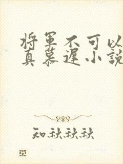 将军不可以魏云真慕迟小说笔趣阁