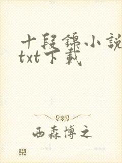 十段锦小说全本txt下载
