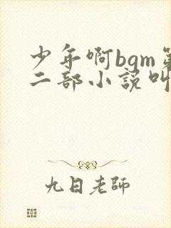 少年啊bgm第二部小说叫什么