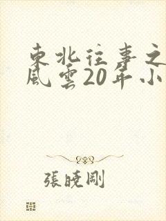 东北往事之黑道风云20年小说