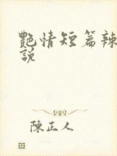 艳情短篇辣文小说