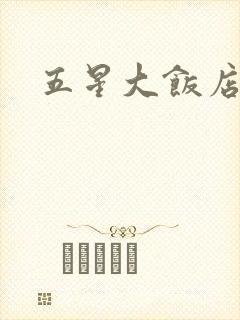 五星大饭店小说