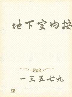 地下室肉按摩椅