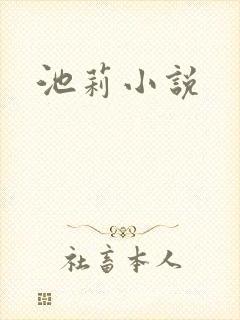池莉小说