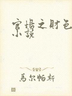 官场之财色诱人小说