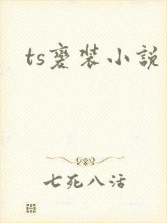 ts变装小说