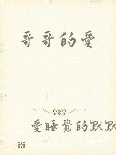 哥哥的爱封面