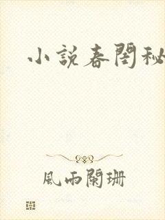 小说春闺秘史
