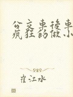 公交车后车座的疯狂的做小