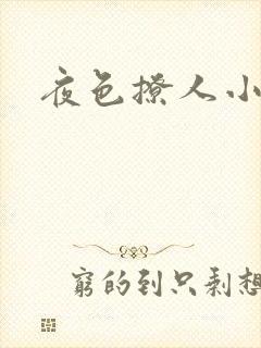 夜色撩人小说