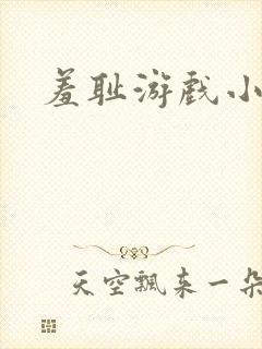 羞耻游戏小说封面