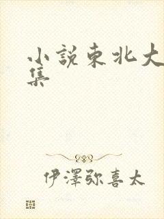 小说东北大炕全集