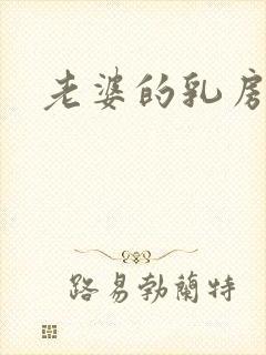 老婆的乳房小说封面