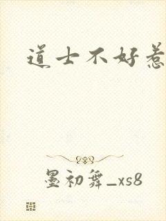 道士不好惹小说封面