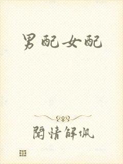 男配女配封面