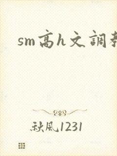 sm高h文调教