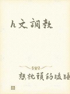 h文调教