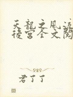 天龙之风流猎艳后宫全文阅读