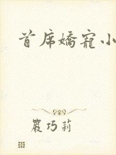 首席娇宠小情人