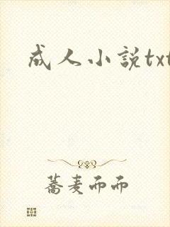 成人小说txt封面