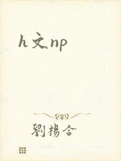 h文np封面